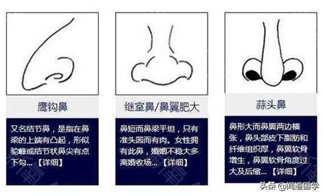 鼻子相|面相入门